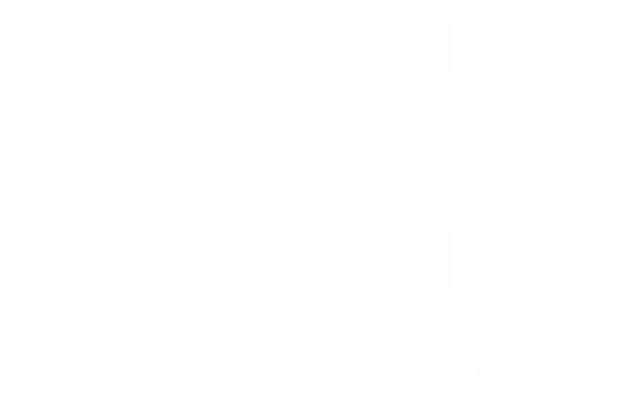 Terra Labz | Web Development, AI, Blockchain & Cybersecurity — USA